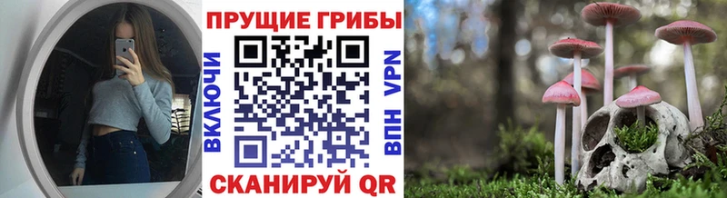 Галлюциногенные грибы Psilocybine cubensis  даркнет сайт  Белореченск 