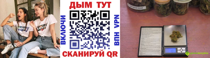 сколько стоит  Белореченск  blacksprut онион  дарк нет какой сайт  Марихуана план 